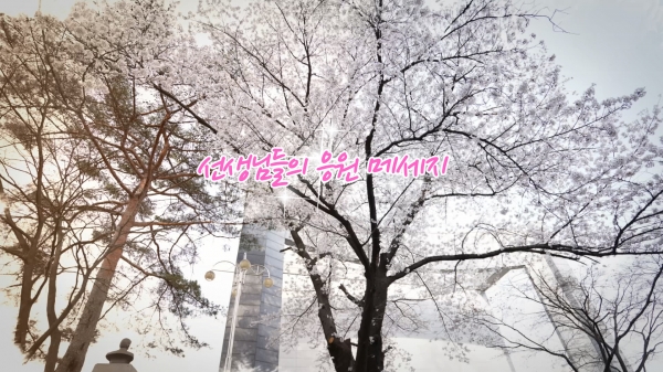 선생님들의 응원 메시지 동영상 캡처